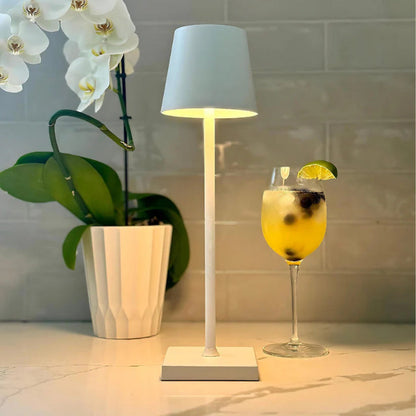 Lampshade Light